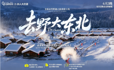 去野大东北