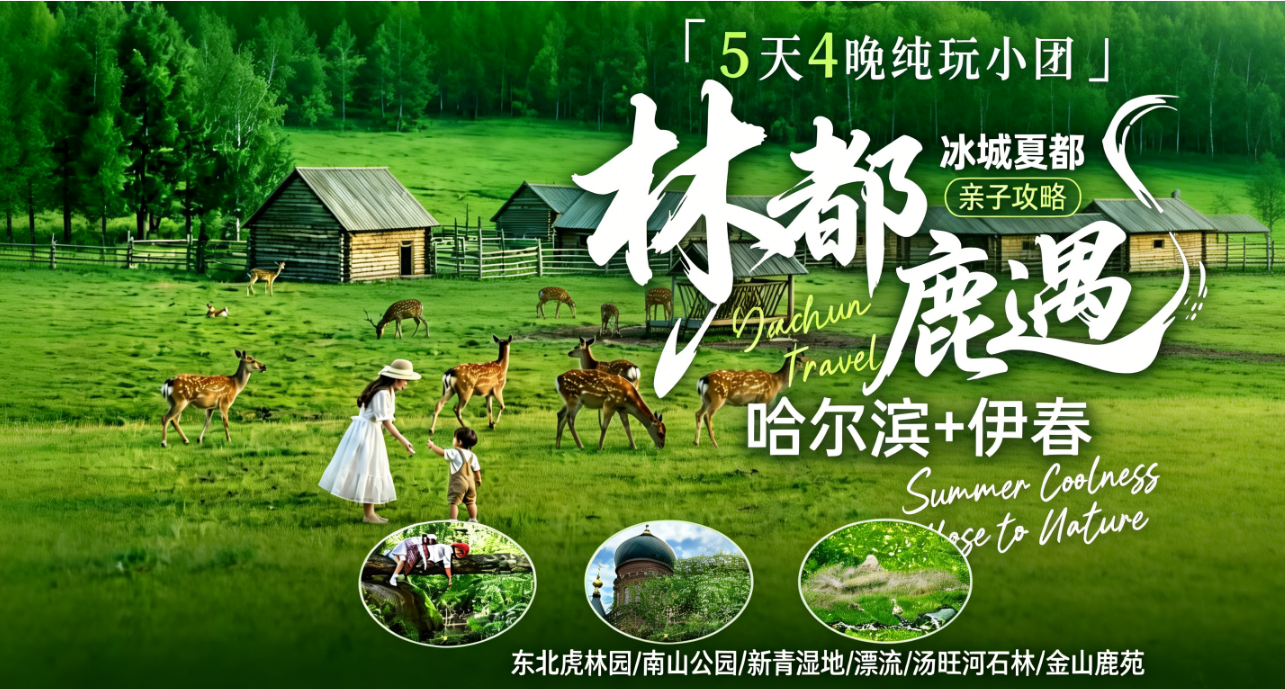 【林都鹿遇】哈尔滨+伊春5天4晚  五营红松林海景区+茅兰沟国家森林公园-跟团游·12席VIP 亲子森系龙江 小兴安岭热门IP全含 撩萌鹿邂逅花栗鼠 行走中俄边境 醉美G331