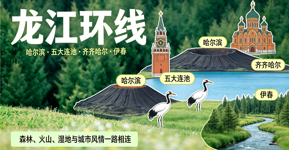 【龙江环线】哈尔滨+五大连池+齐齐哈尔+伊春6日5晚 拼小团·避暑8人团·优选当地好酒店+门票全含·一车到底+覆盖所有经典景点+夜市早市+尔滨自由行