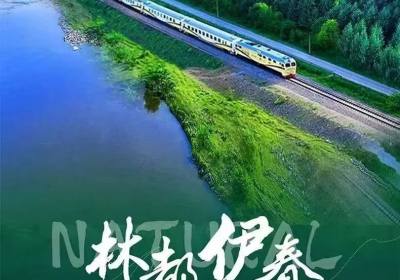 林都号东北旅游专列怎么订？2026 -2027发车时间表、价格解析与预订流程（甄奢皓石 · 黑龙江皓石旅行）