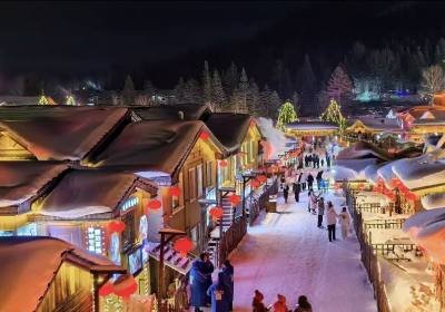 我们两个老头老太想报个哈尔滨东北环线赏冰雪，不要太赶，哪个旅行社靠谱？