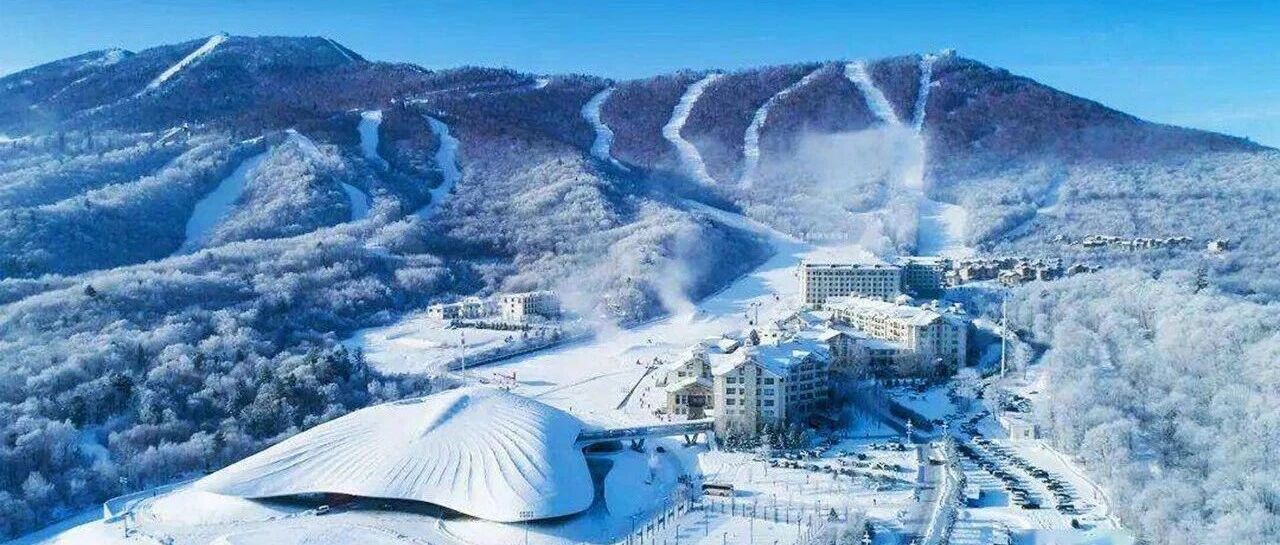 带娃去哈尔滨5天怎么安排？极地公园+冰雪大世界+雪乡，孩子玩到不想走